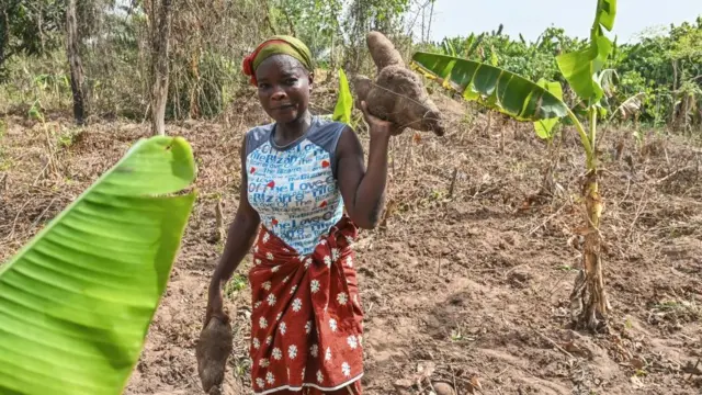 Nwaanyị nọ n'ugbo