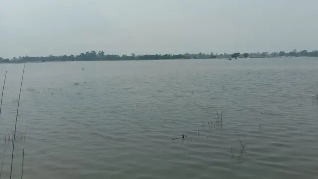 कैलालीको फाँटमा पसेको पानी