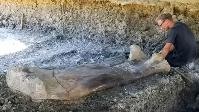 डायनासोर की जांघ की हड्डी