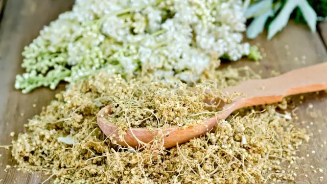 Высушенные цветы таволги