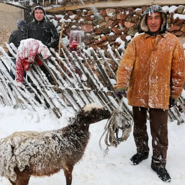 بزکشی، ازبیکستان