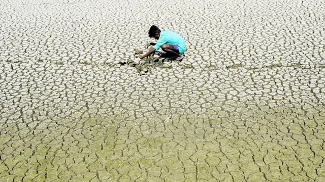 'தமிழக அணைகளில் தண்ணீர் அளவு?'