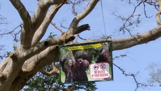 ভারতের বহু সংরক্ষিত বনাঞ্চলেও সেলফি তোলা বারণ