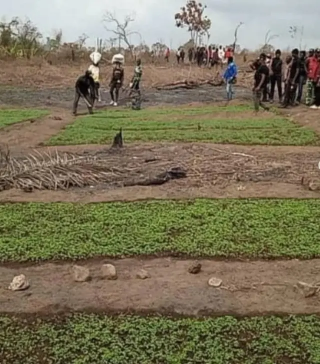 Oko Igbo to wa ni Ondo