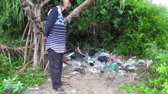 නිලාවලි පරිසර විනාශය