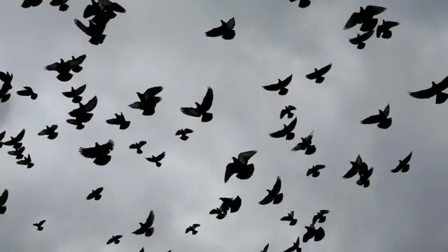 تلوث الهواء