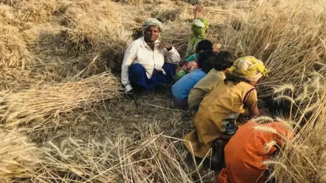 राजेंद्री देवी