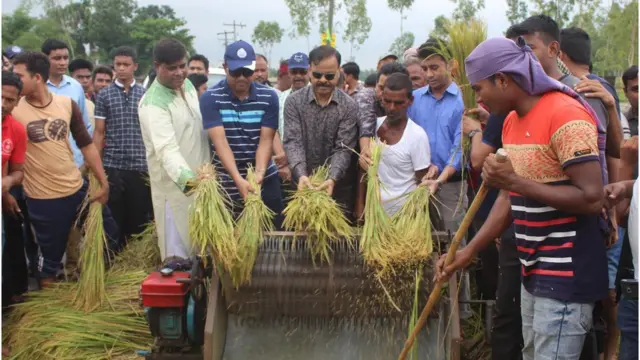 ধান মাড়াই
