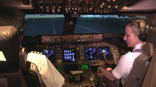 Flight simulator