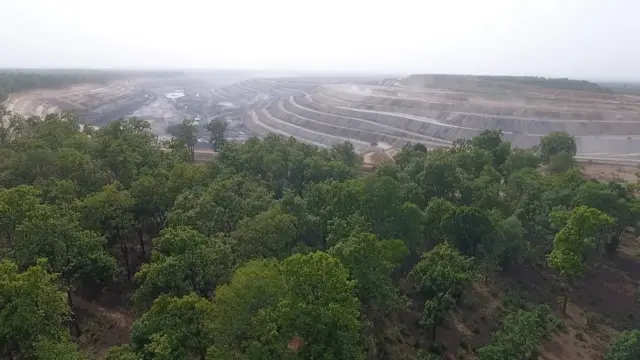 हसदेव अरण्य