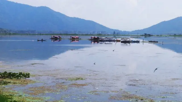গত বেশ কিছুদিন ধরে পর্যটকশূন্য ডাল লেক। বসে আছে শিকারাগুলো