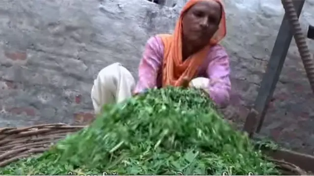 ਪੰਜਾਬ ਕਿਸਾਨ