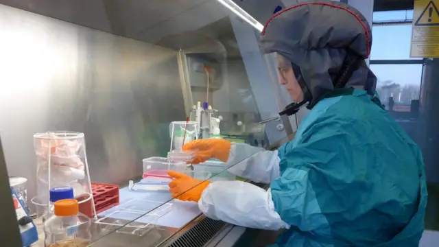 Les chercheurs de l'Institut Friedrich Loeffler prélèvent régulièrement des échantillons de porcs dans toute l'Europe pour tester la présence de la grippe