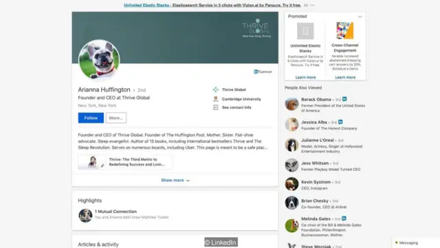 Perfil do LinkedIn com imagem aleatóriaaplicativo betfair exchangecachorro