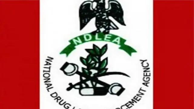 Aworan Ajọ NDLEA