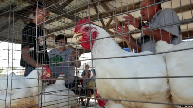 ਕੋਰੋਨਾਵਾਇਰਸ