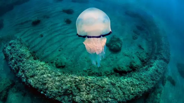 يمكن للزوار اكتشاف بقايا المدينة الرومانية تحت البحر التيراني