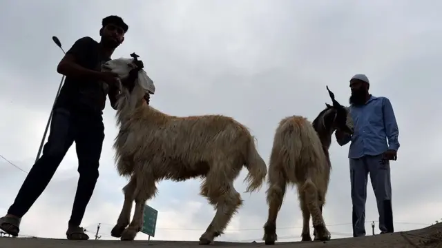 காஷ்மீர் பக்ரீத்