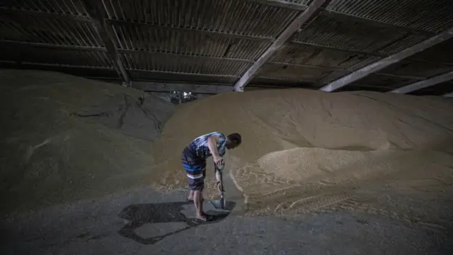 اوکریین غلې