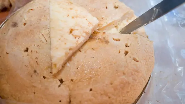 Queijo Casu Marzu