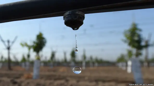 सिंचन घोटाळा