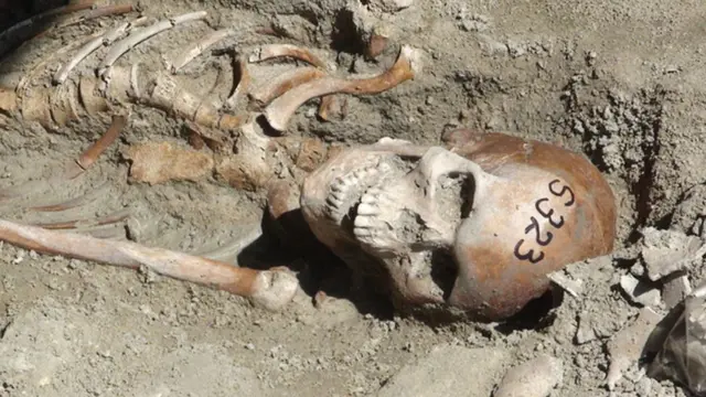 පාදාගත් අස්ථි කොටසක්