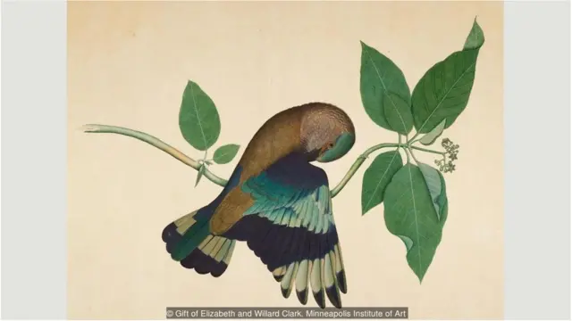 గంధపు చెట్టు కొమ్మపై పాలపిట్ట