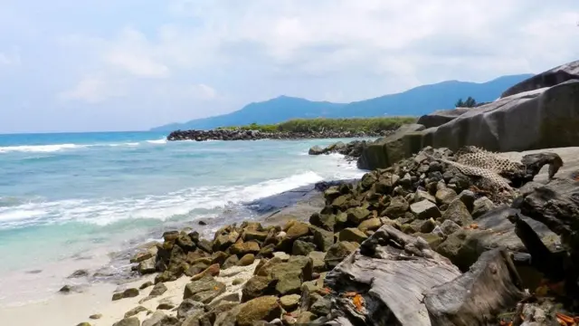 据报道，在塞舌尔岛上埋藏着价值 1 亿英镑的海盗宝藏