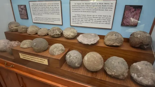 இந்தியாவின் புதைபடிவ பாரம்பரியம் பெரும்பாலும் பயன்படுத்தப்படவில்லை