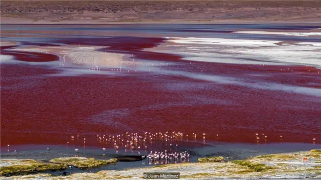 बोलिविया में सालर डि उयूनी