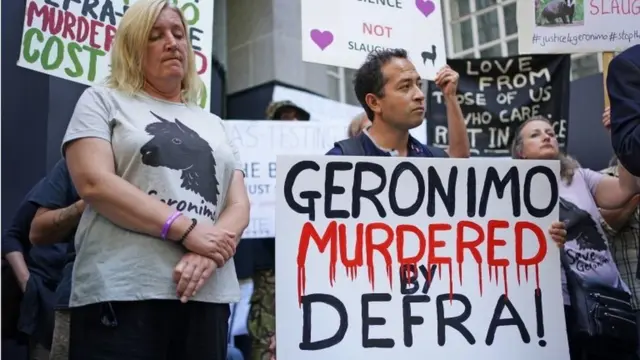 Хелен Макдональд