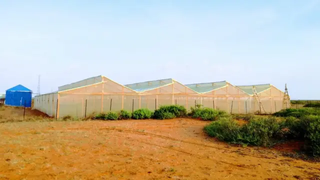 Guriga loo dhisay in khudaarta lagu beero