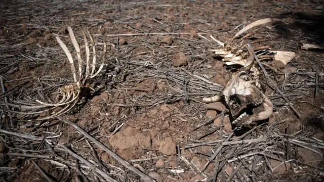 Los habitantes y organizaciones piden que el agua sea un derecho humano.