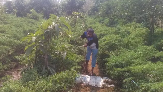 કેતન પટેલ