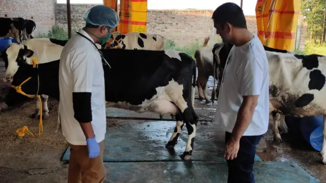 ధోని వ్యవసాయం