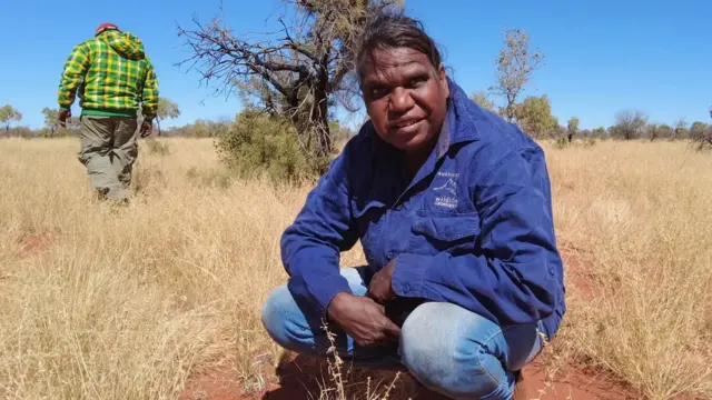 뉴헤이븐의 원주민들은 땅을 원래 상태로 되돌리는 데 중요한 역할을 해 왔다