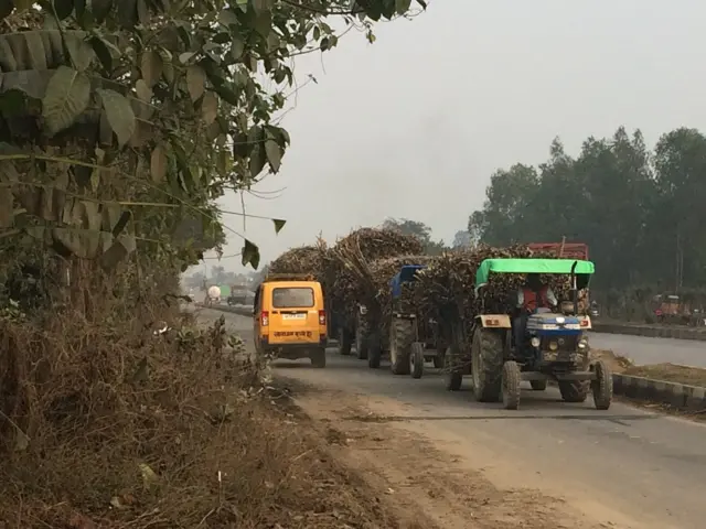उत्तर प्रदेश, गन्ना किसानों का संकट