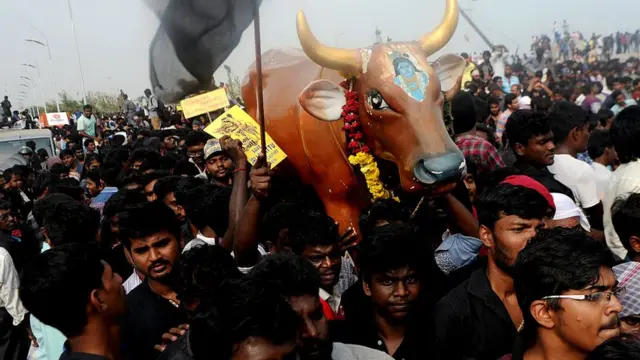 ஜல்லிக்கட்டு