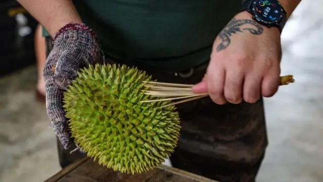 क्या भारत से मलेशिया पहुंचा 10 गुना ज़्यादा संक्रामक कोरोना वायरस?