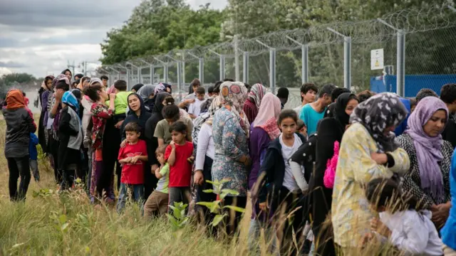 Macaristan sınırındaki göçmenler