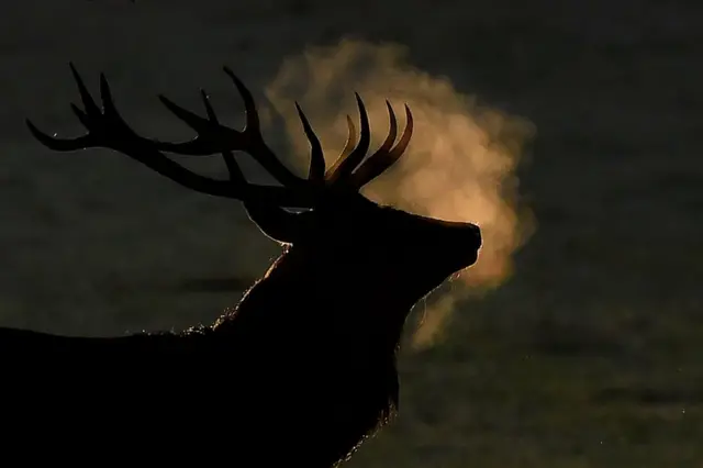 Ричмонд-парк