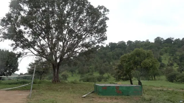 ਲਿੰਚਿੰਗ