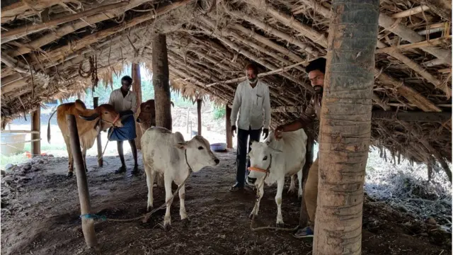 సంకల్ప్‌ ఆర్ట్‌ విలేజ్‌, జమీల్య. విశాఖ పట్నం, సేంద్రీయ ఉత్పత్తులు.