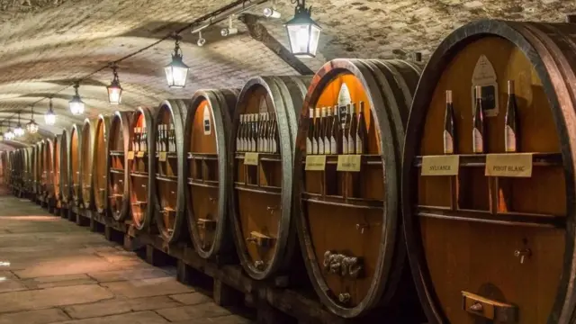 مستشفى فرنسي يعالج مرضاه بالخمور