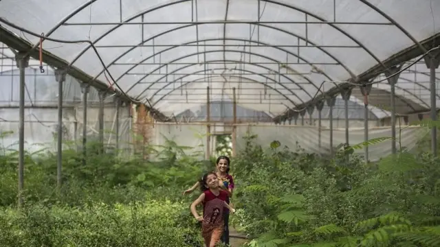 இஸ்ரேல்: மணலில் மலரும் பசுமை