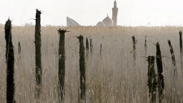 نخل‌های سوخته در جنگ ایران و عراق، خوزستان