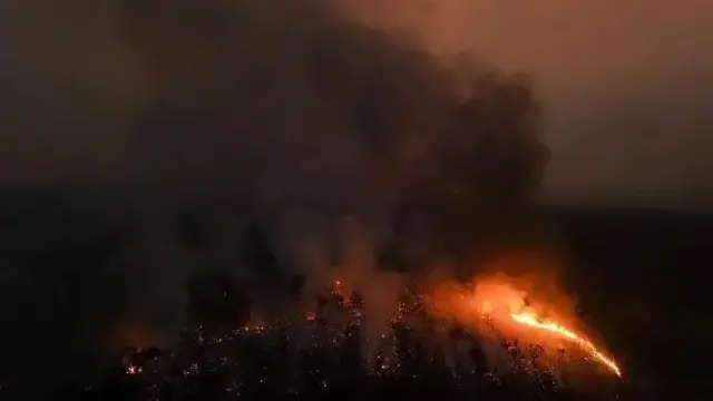 Fogo em uma floresta