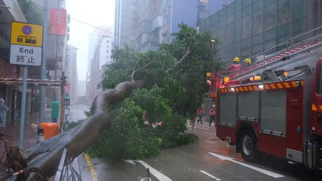 Los bomberos tratan de acordonar la zona en una calle donde ha caído un inmenos árbol.