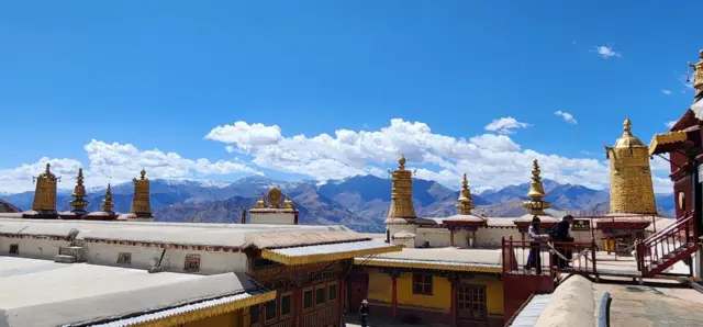 ड्रेपुङ गुम्बा