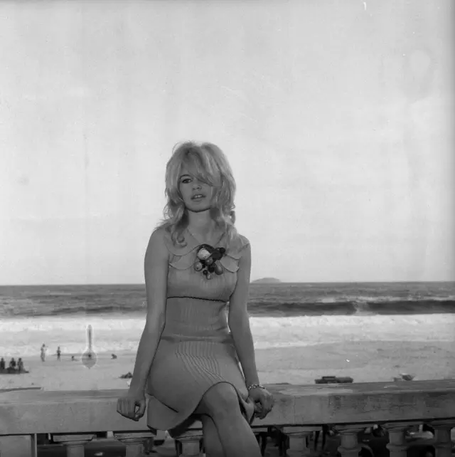 Brigitte Bardot 